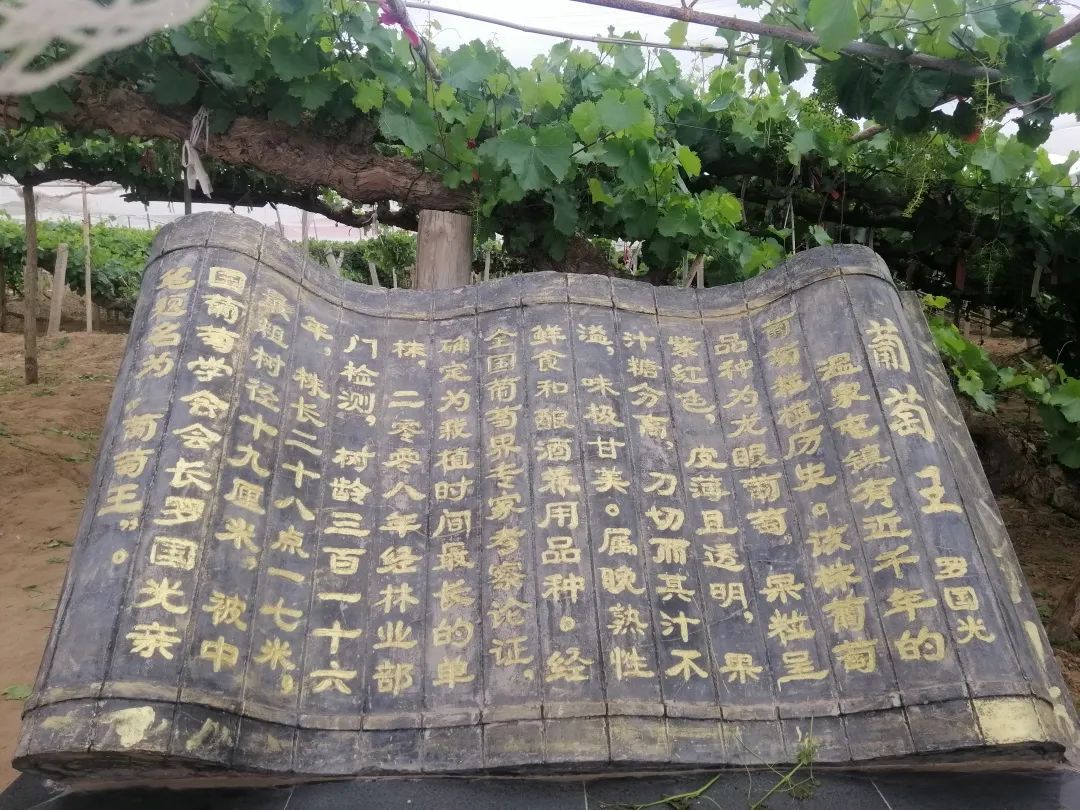 640?wx_fmt=jpeg 图片